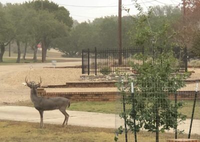 Northwest Hills HOA Kerrsville Texas